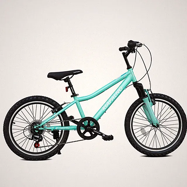 20 Inch Mountain Bike Twist Shift 7-Speed Steel Frame Mountain Bicycle for Kids