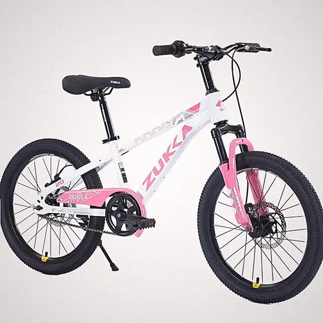 20" Kids MTB Bike w/Disc Brakes & Suspension for Boys Girls Age 7-10,Multi-Color
