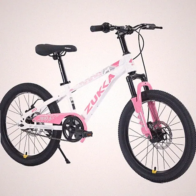 20" MTB ZUKKA Kids Bike Age 7-10 Dual Disc Brake Steel Frame Multiple Colors