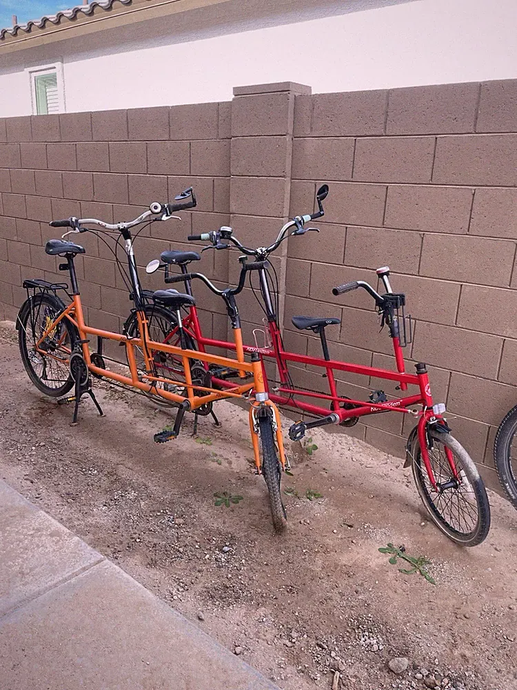 Unisex Kids Tandem