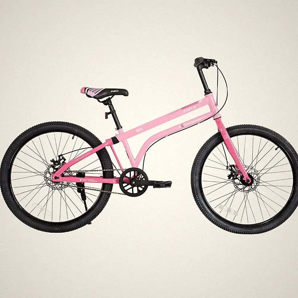 MEGHNA 24"Kids Bicycle for Boys Girls 10+, Single Speed with Dual Disc Brakes PK
