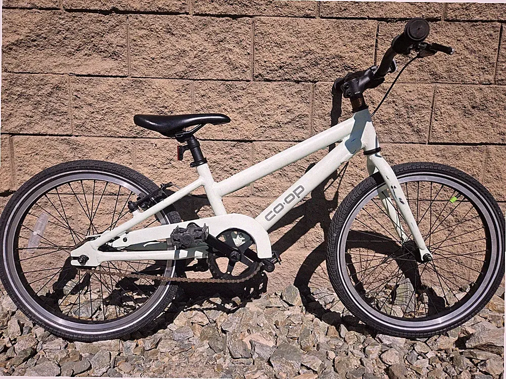 REI Co-op REV20 Single-speed Child's/Kid's Aluminum Bike Bicycle Mint Green