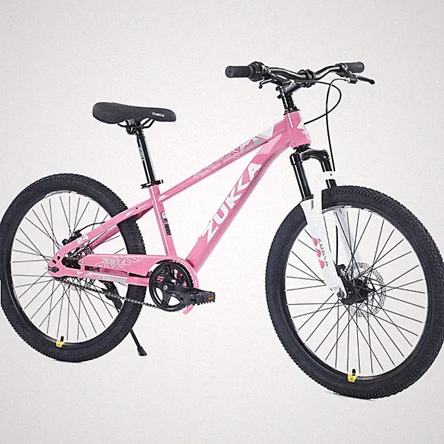 ZUKKA 24 Inch Single Speed Mountain Bike for Kids Ages 9-12,Pink White